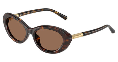 DOLCE & GABBANA DG4519 Sunglasses