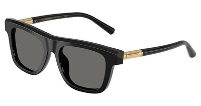 DOLCE & GABBANA DG4521 Sunglasses