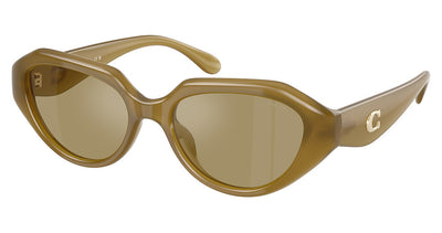 COACH HC8433U CBY77 Sunglasses