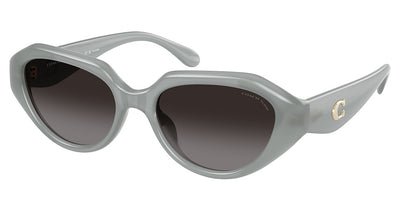 COACH HC8433U CBY77 Sunglasses