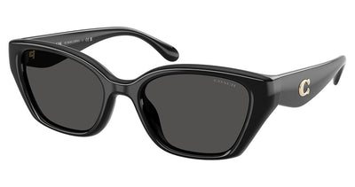 COACH HC8434U CBY91 Sunglasses