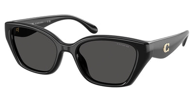 COACH HC8434U CBY91 Sunglasses