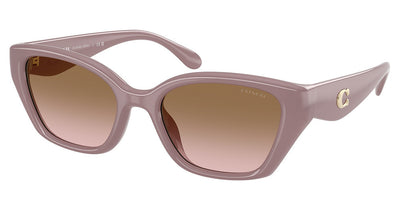 COACH HC8434U CBY91 Sunglasses