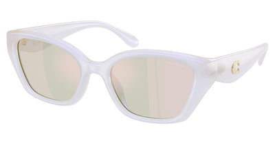 COACH HC8434U CBY91 Sunglasses