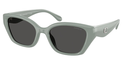 COACH HC8434U CBY91 Sunglasses