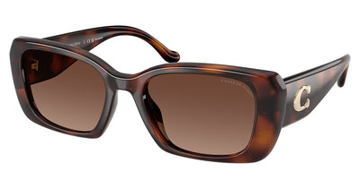 COACH HC8435U CBY82 Sunglasses