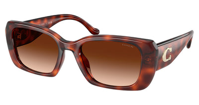 COACH HC8435U CBY82 Sunglasses