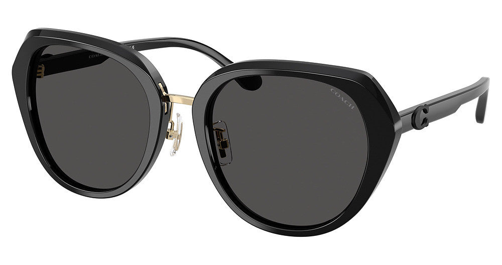 COACH HC8436 CBY93 Sunglasses