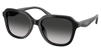 COACH HC8437F CBY89 Sunglasses