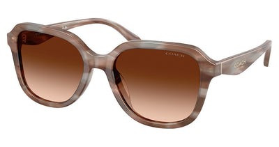COACH HC8437F CBY89 Sunglasses
