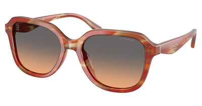 COACH HC8437U CBY87 Sunglasses