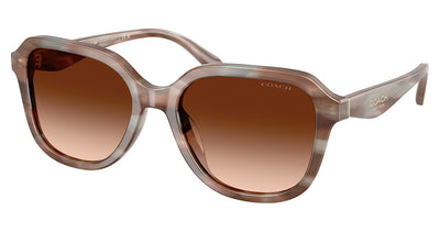 COACH HC8437U CBY87 Sunglasses