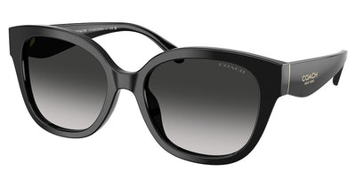 COACH HC8438U CBY94 Sunglasses