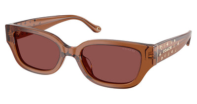 COACH HC8439U CBZ52 Sunglasses