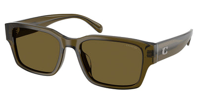 COACH HC8441U CBY96 Sunglasses
