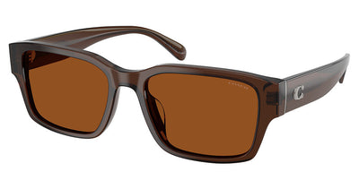 COACH HC8441U CBY96 Sunglasses