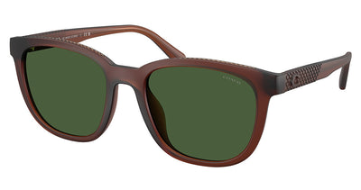 COACH HC8442U CCA00 Sunglasses