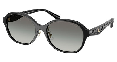 COACH HC8445D CBY85 Sunglasses