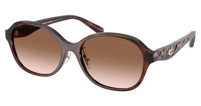 COACH HC8445D CBY85 Sunglasses