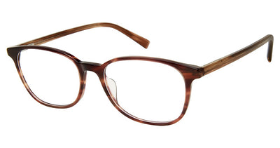 Aristar AR 18439 Eyeglasses