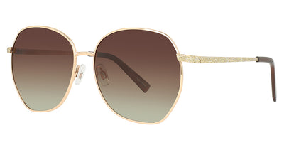 INVU INVU-242 Sunglasses