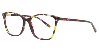 Rip Curl RC2099 Eyeglasses