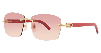 Cartier CT0039RS Sunglasses