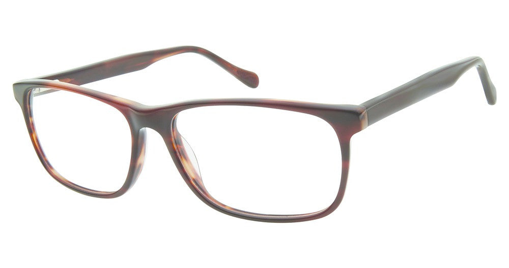 Aristar AR 18653 Eyeglasses