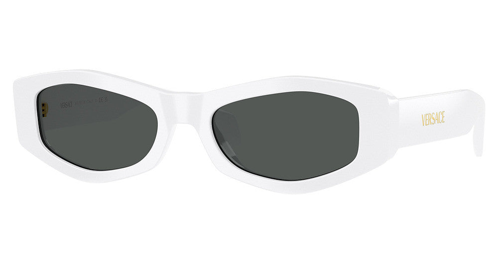 Versace VE4487 Sunglasses