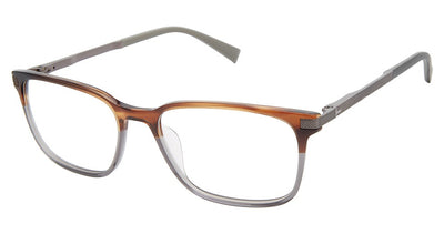 Ted Baker TFM007 Eyeglasses