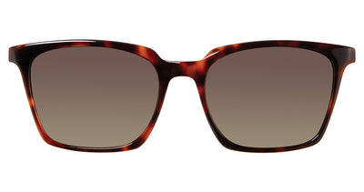 Vera Bradley Tate Sunglasses
