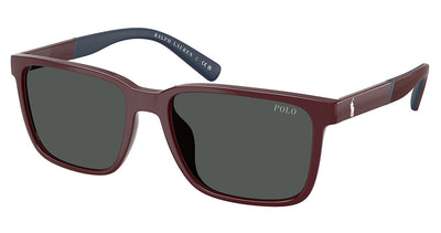 Polo PH4189U Sunglasses