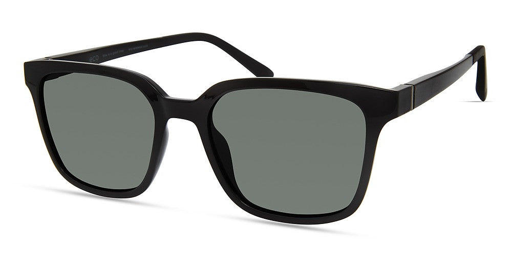 Eco MILLER Sunglasses