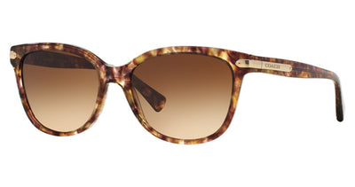 COACH HC8132 L109 Sunglasses