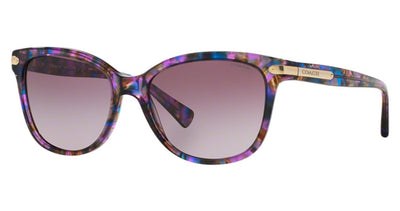 COACH HC8132 L109 Sunglasses