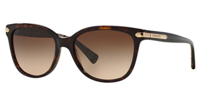 COACH HC8132 L109 Sunglasses