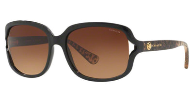 COACH HC8169 L149 Sunglasses