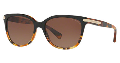 COACH HC8132 L109 Sunglasses