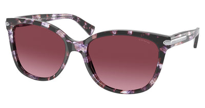 COACH HC8132 L109 Sunglasses