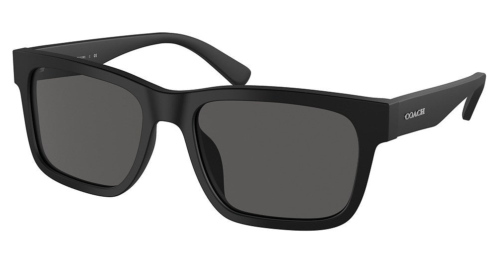 COACH HC8308U L1161 Sunglasses