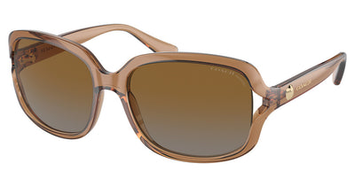 COACH HC8169 L149 Sunglasses