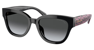 COACH HC8379U CL920 Sunglasses