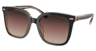 COACH HC8381U CL918 Sunglasses
