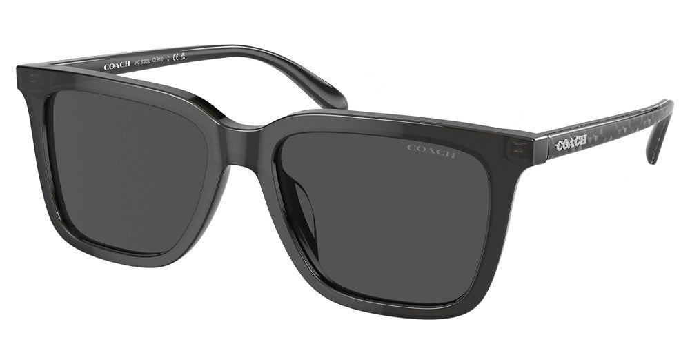 COACH HC8385U CL910 Sunglasses