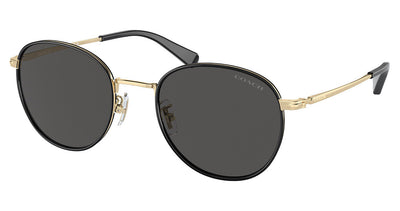 COACH HC7163 CR631 Sunglasses