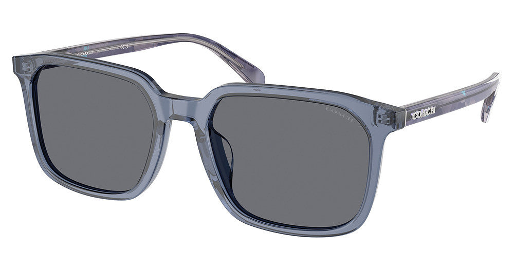COACH HC8411U CW405 Sunglasses