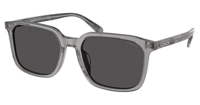 COACH HC8411U CW405 Sunglasses