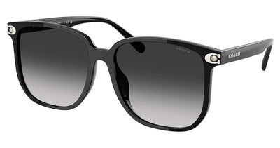 COACH HC8413BD CW419 Sunglasses