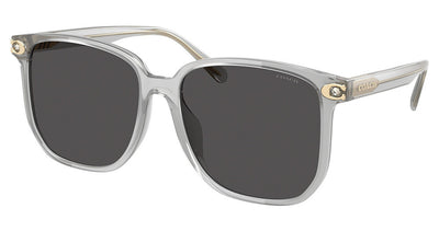 COACH HC8413BD CW419 Sunglasses
