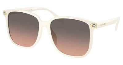 COACH HC8413BD CW419 Sunglasses